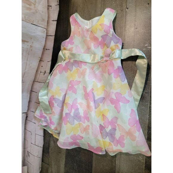 Youth Jessica ann Butterfly dress 3T spring - Picture 1 of 10